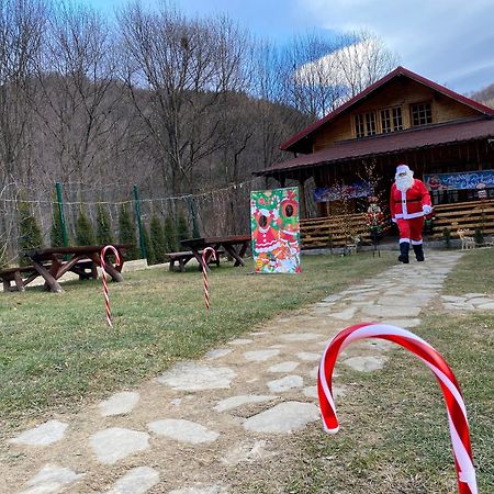 Appartamento Casutele Doftanei Teşila Esterno foto