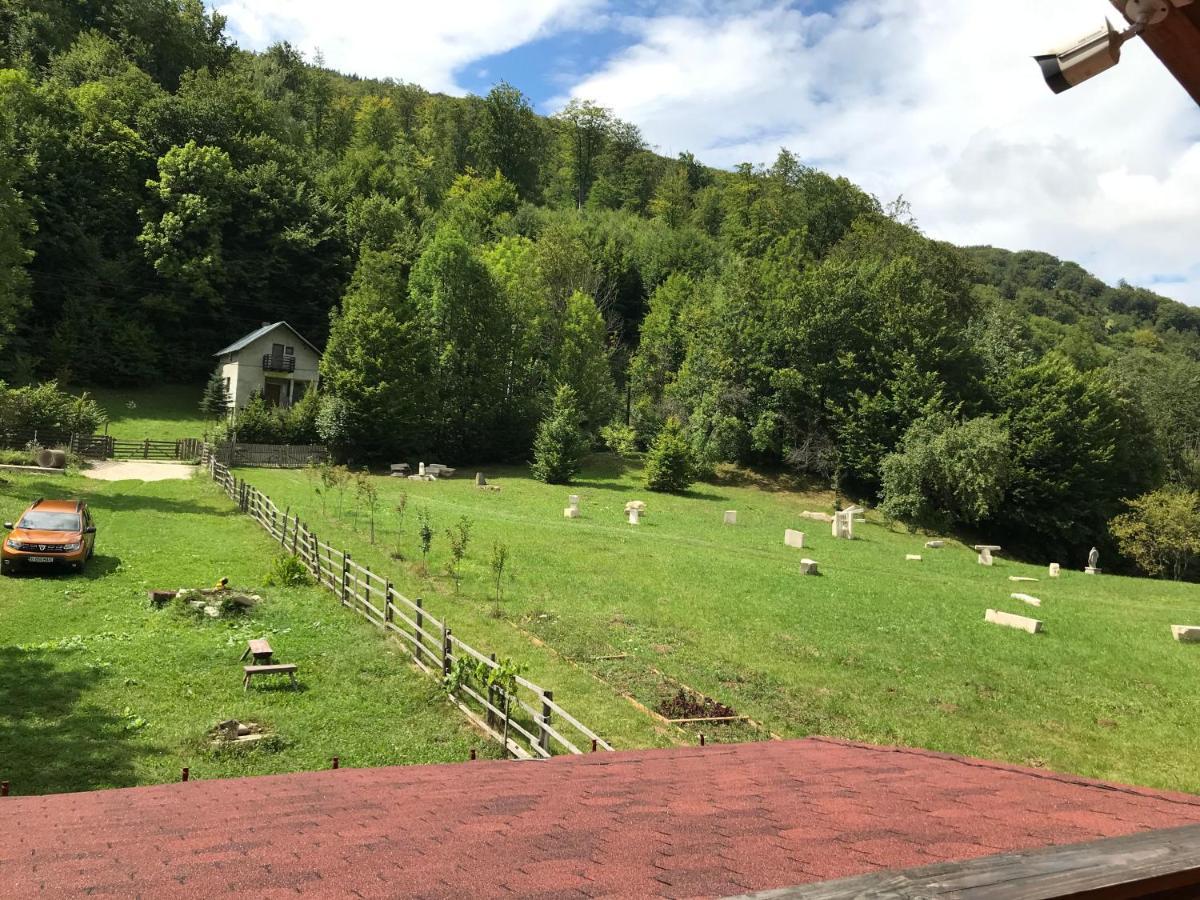Appartamento Casutele Doftanei Teşila Esterno foto