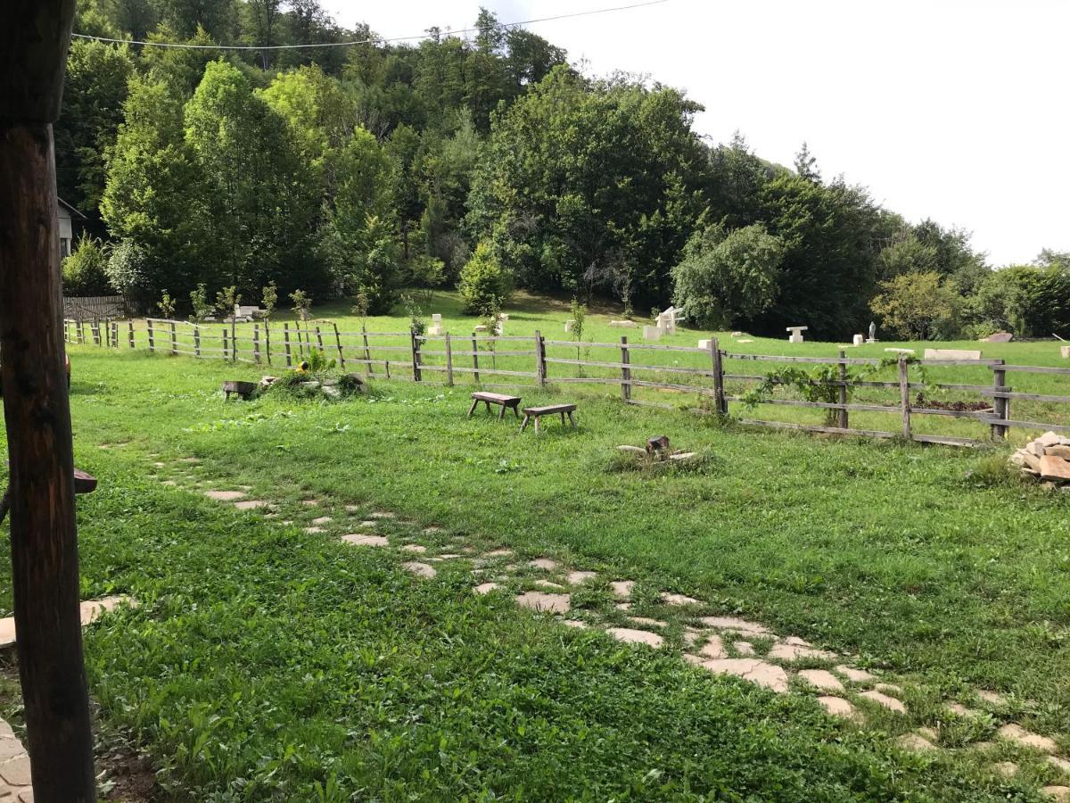 Appartamento Casutele Doftanei Teşila Esterno foto