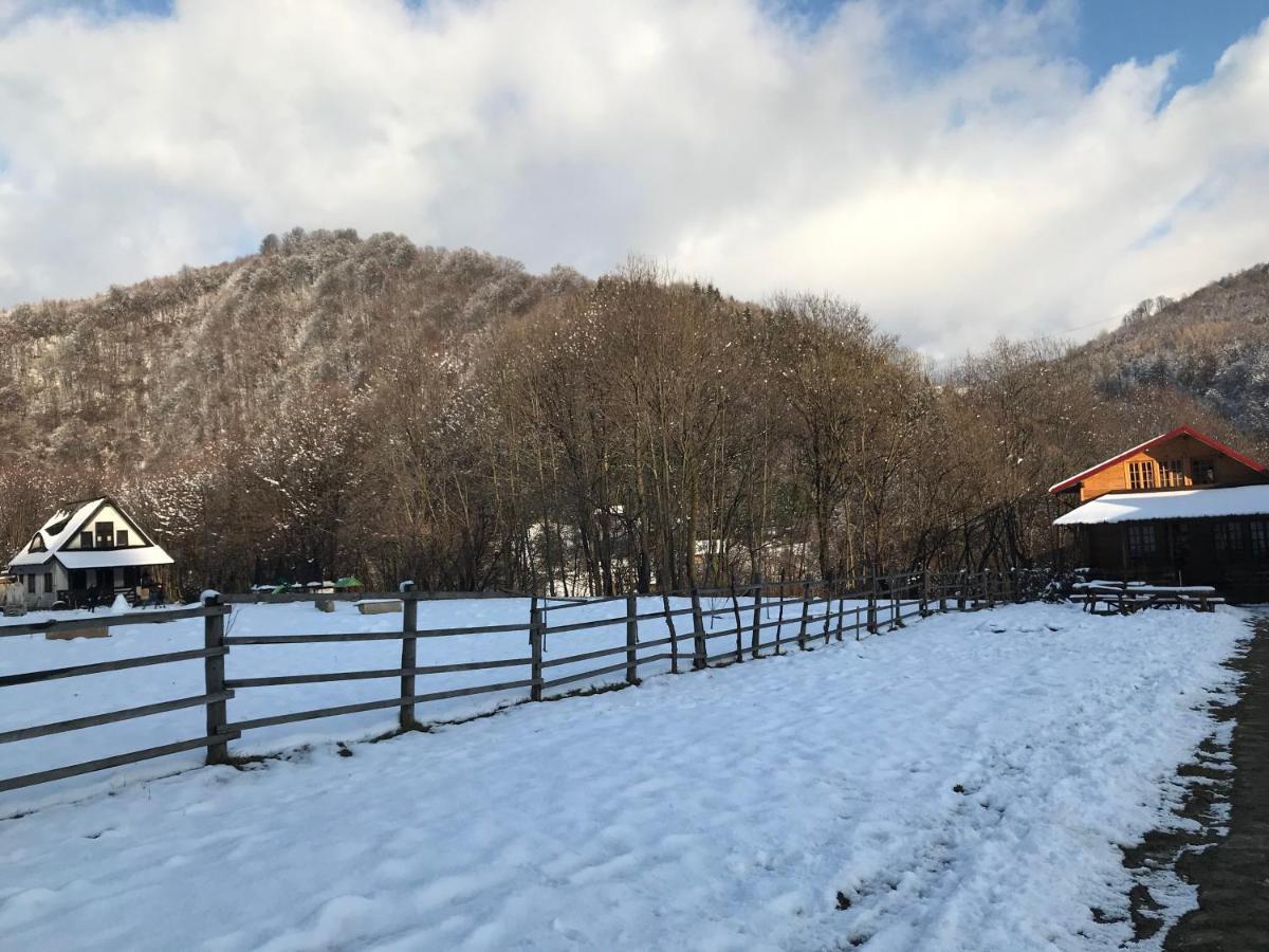 Appartamento Casutele Doftanei Teşila Esterno foto