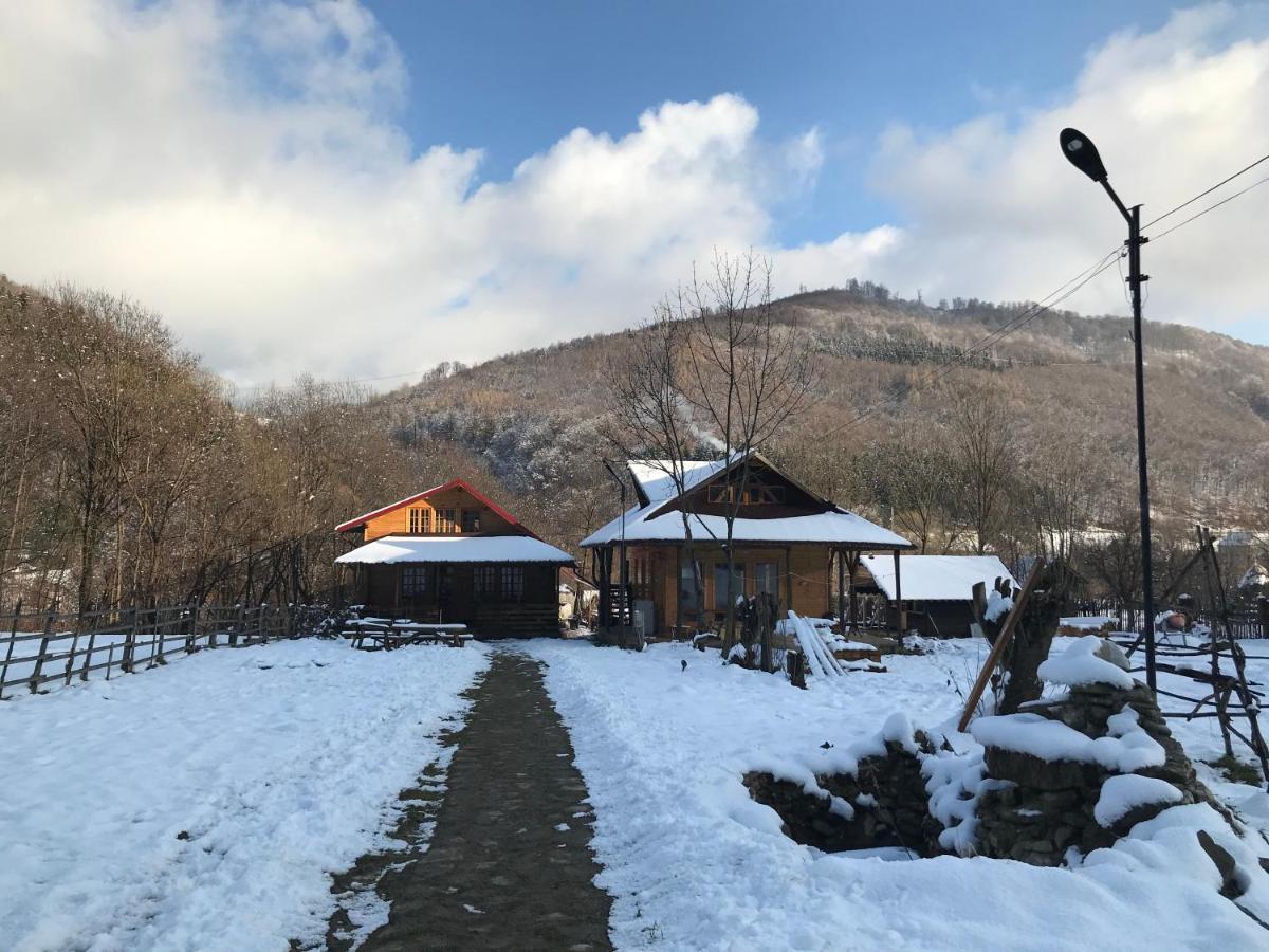 Appartamento Casutele Doftanei Teşila Esterno foto