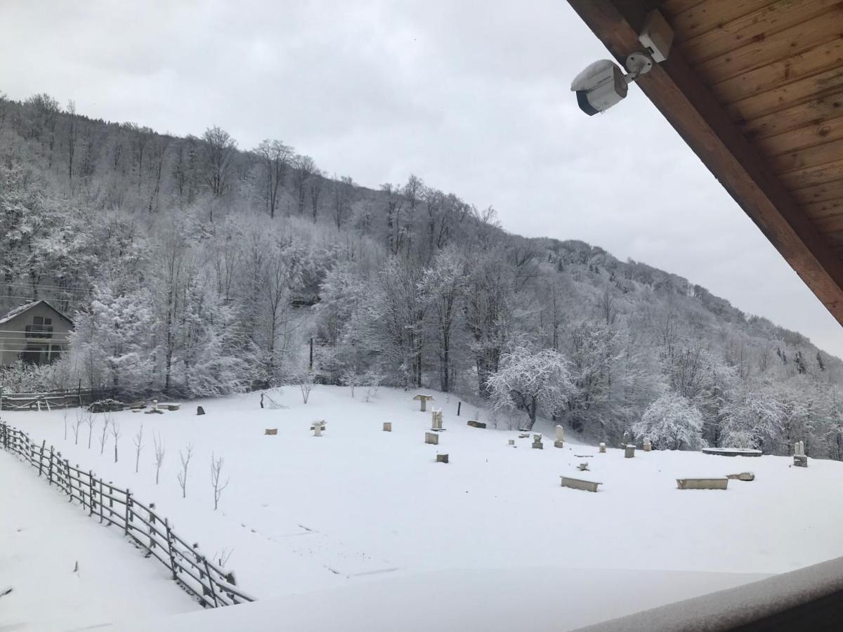 Appartamento Casutele Doftanei Teşila Esterno foto