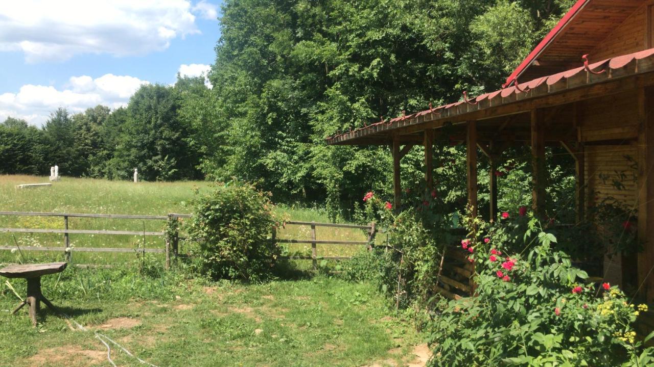 Appartamento Casutele Doftanei Teşila Esterno foto