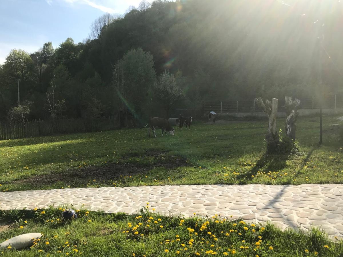 Appartamento Casutele Doftanei Teşila Esterno foto